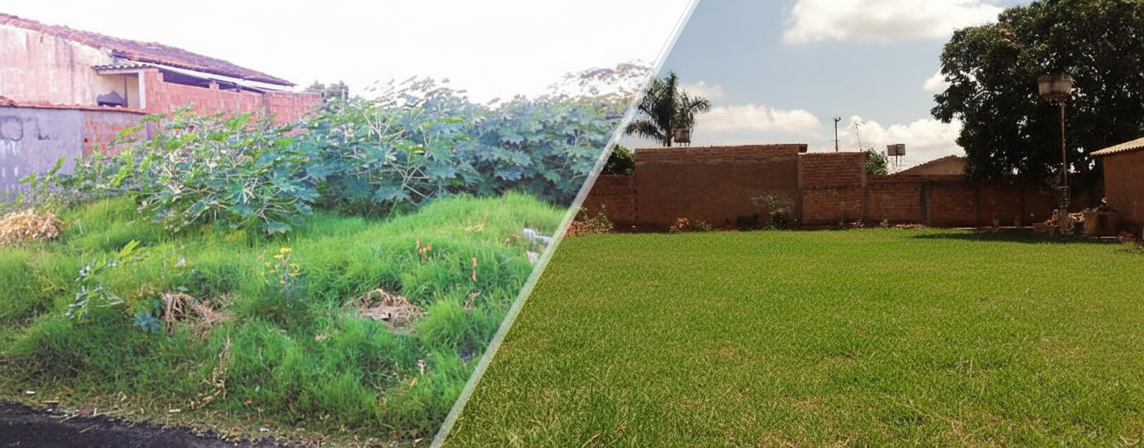 Antes e Depois da Limpeza de Lote em Goiânia